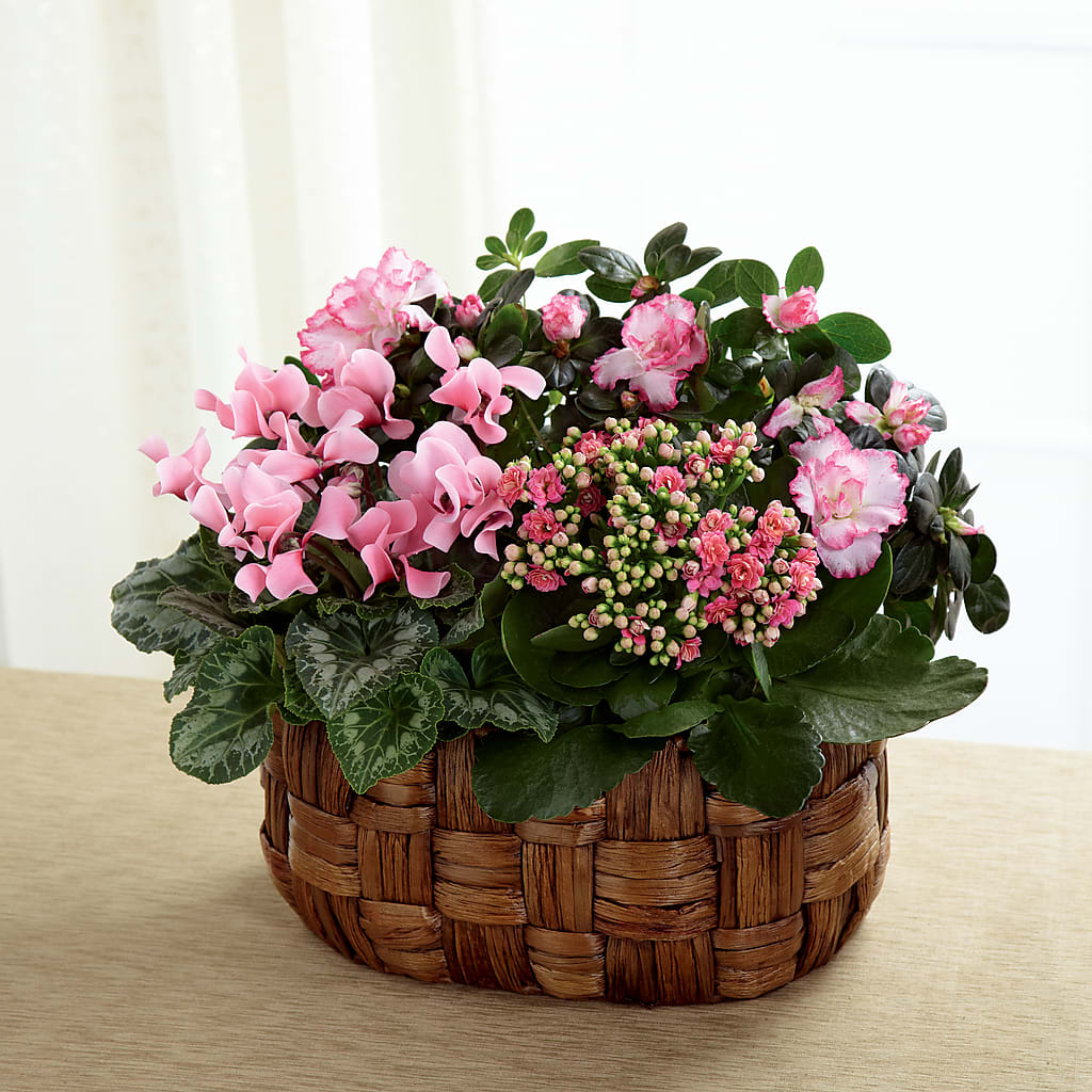 Pink Assortment – Magic Sun Flowers, Los Angeles CA