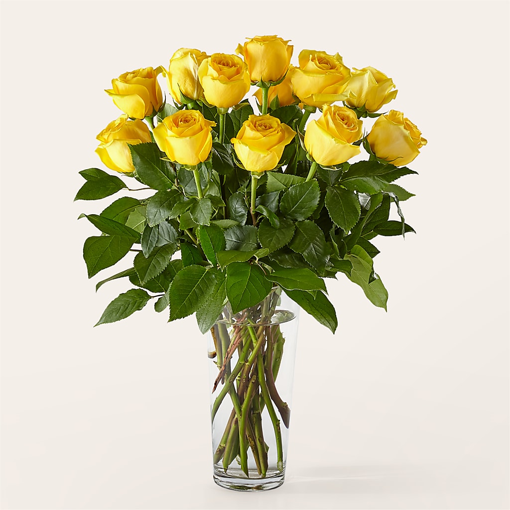 Long Stem Yellow Rose Bouquet – Magic Sun Flowers, Los Angeles CA