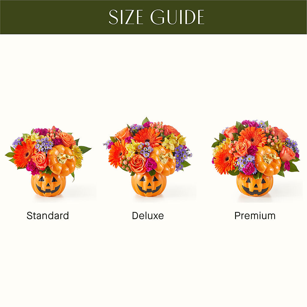 Tricks & Treats Pumpkin – Magic Sun Flowers, Los Angeles CA