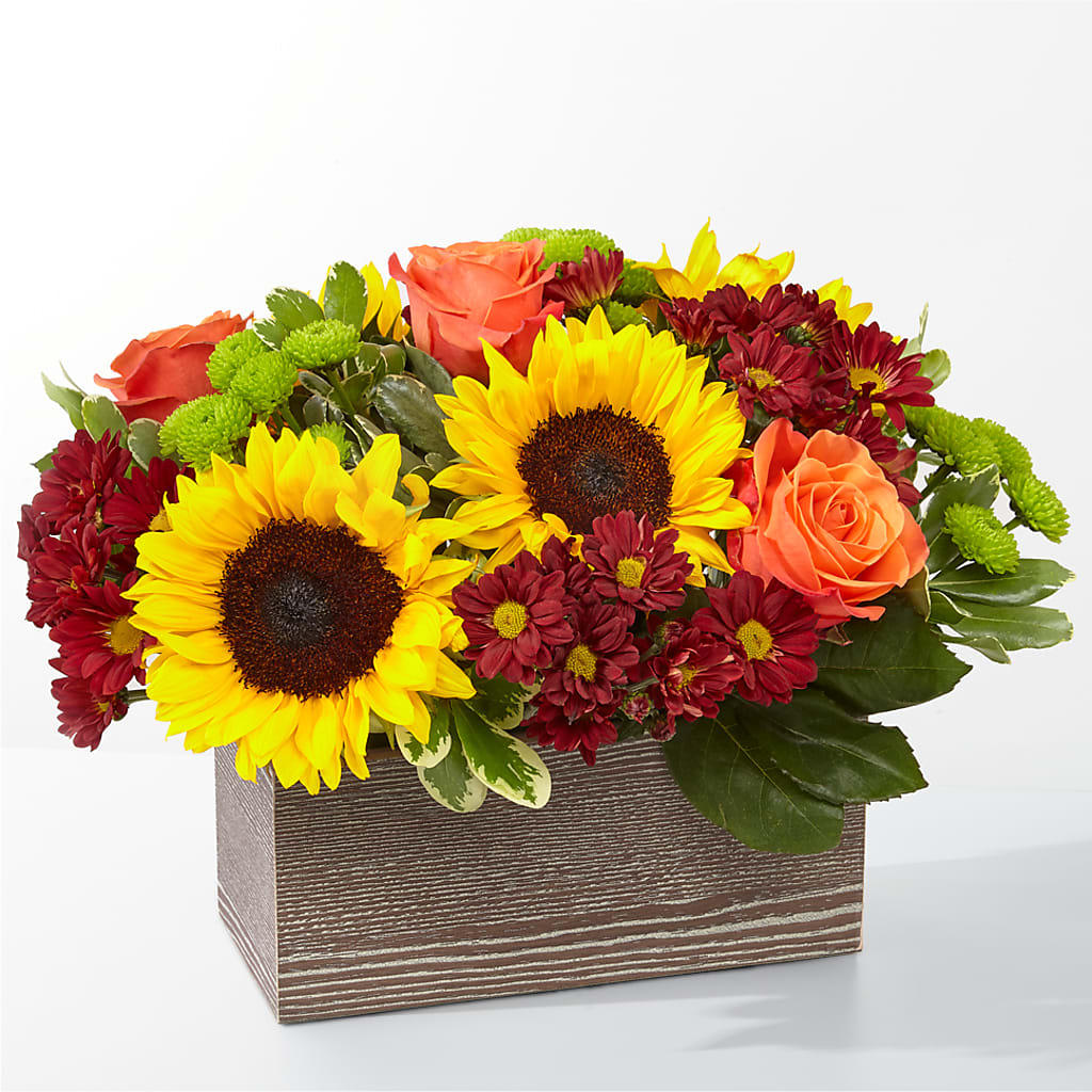 Happy Harvest Garden – Magic Sun Flowers, Los Angeles CA