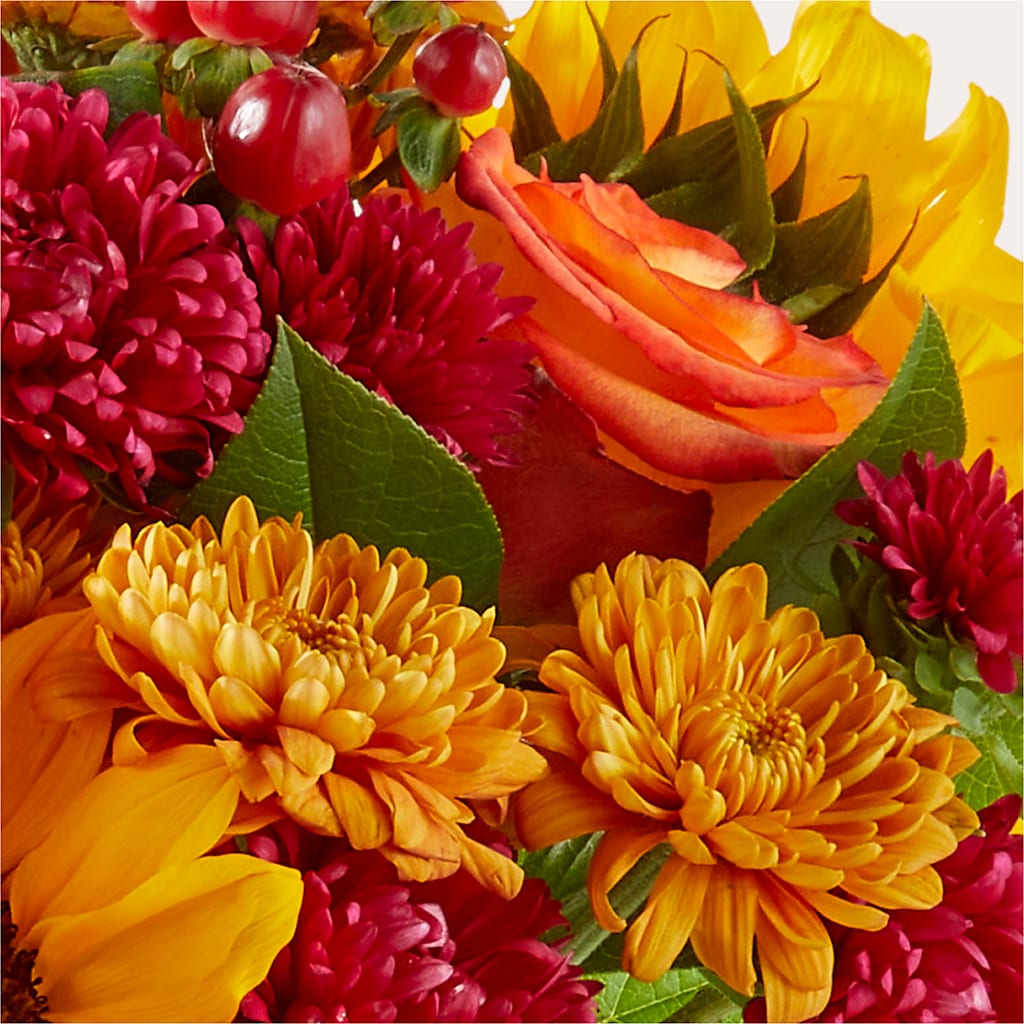 Sweater Season - A Florist Original – Magic Sun Flowers, Los Angeles CA