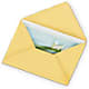 Greeting Card – Magic Sun Flowers, Los Angeles CA