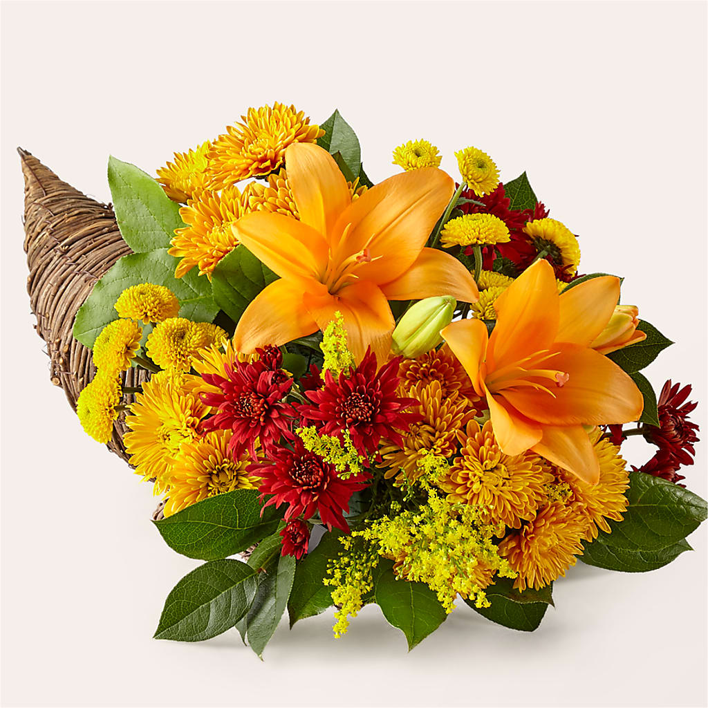 Feast of Color Cornucopia – Magic Sun Flowers, Los Angeles CA