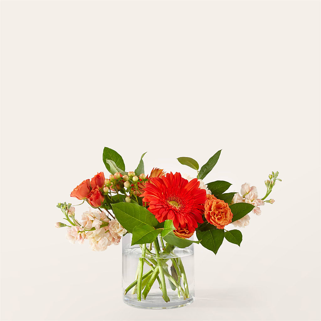 Paloma Please Bouquet – Magic Sun Flowers, Los Angeles CA