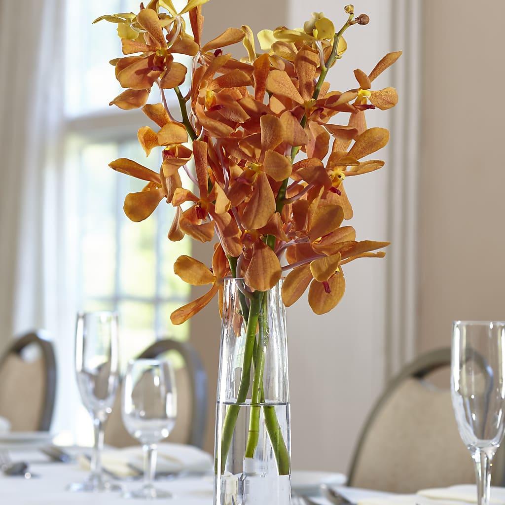 Orange Mokara Bud Vase – Magic Sun Flowers, Los Angeles CA