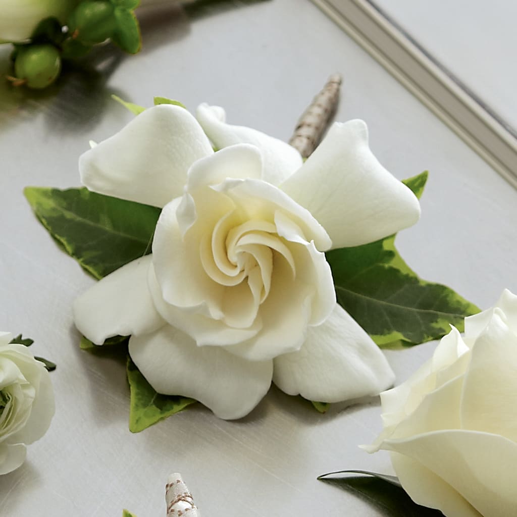 Gardenia Boutonniere – Magic Sun Flowers, Los Angeles CA