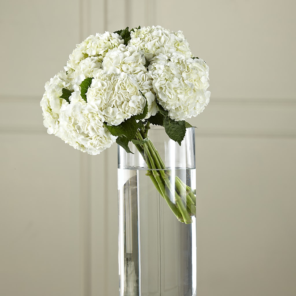 White Hydrangea Hand-Tied Bouquet – Magic Sun Flowers, Los Angeles CA