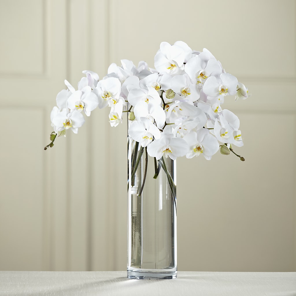 White Phalaenopsis Bouquet – Magic Sun Flowers, Los Angeles CA