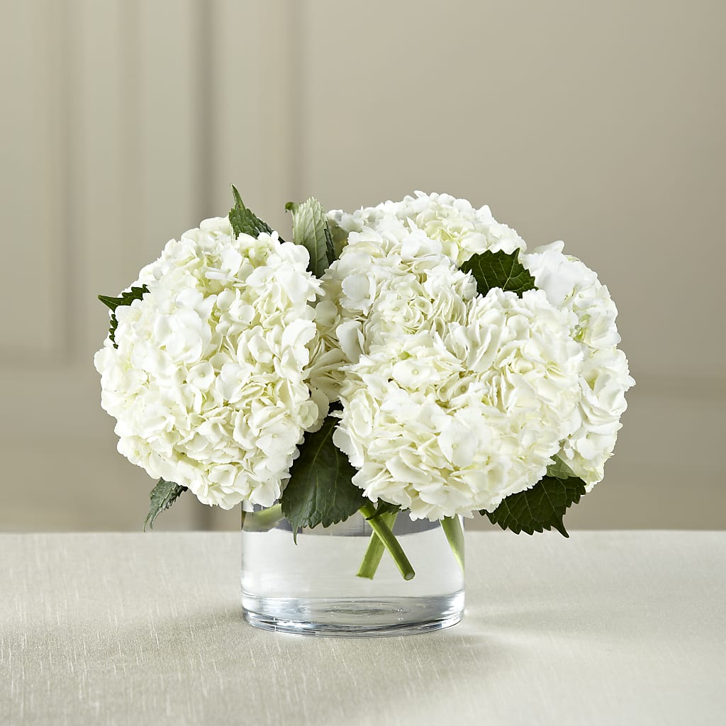 White Hydrangea Bouquet – Magic Sun Flowers, Los Angeles CA