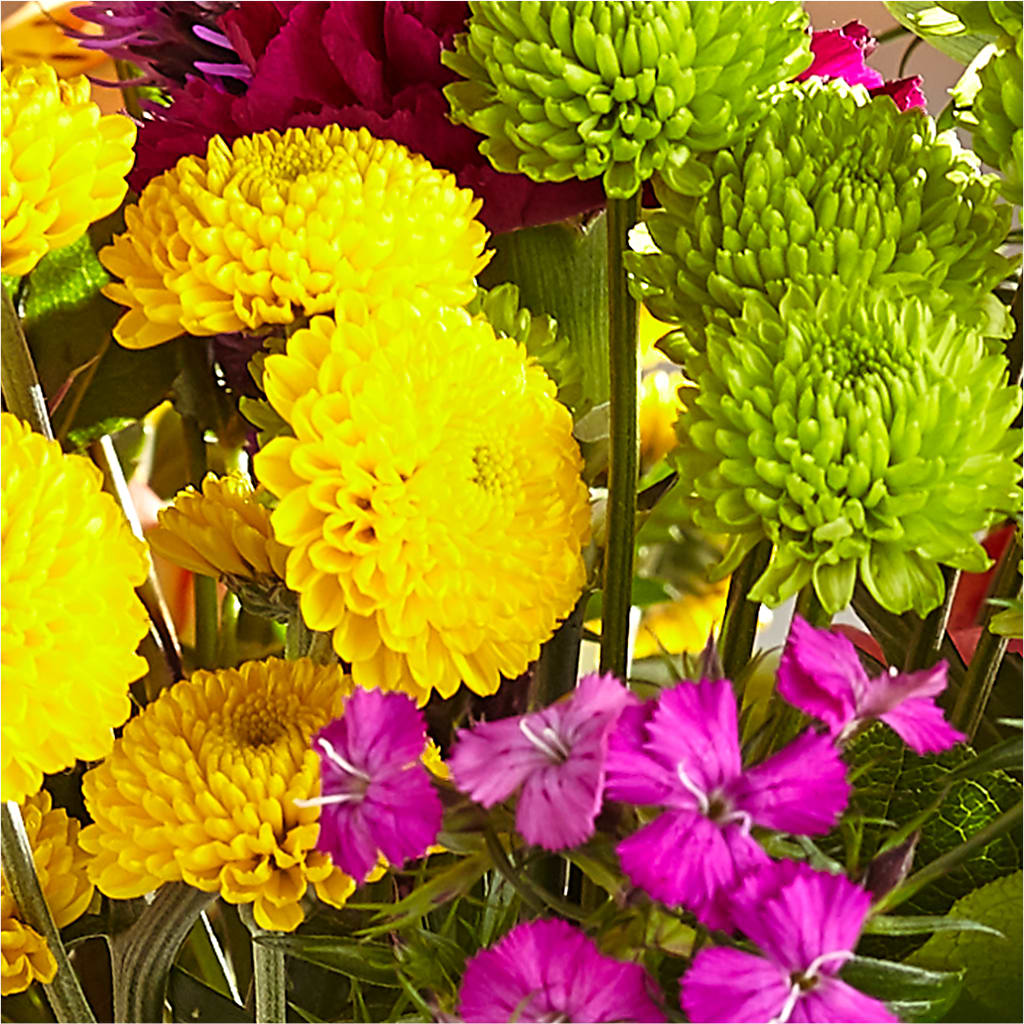 Bold & Bright – A Florist Original –  Magic Sun Flowers, Los Angeles CA
