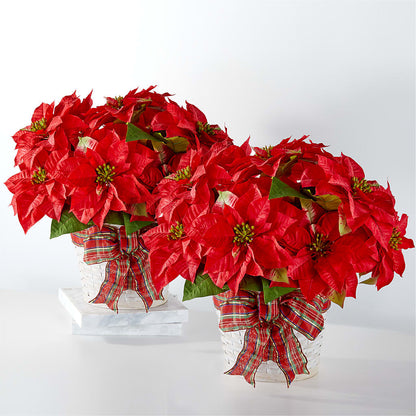 Happiest Holidays Poinsettia Bundle –  Magic Sun Flowers, Los Angeles CA