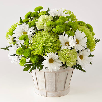 Lucky Charm Basket (Standard) –  Magic Sun Flowers, Los Angeles CA