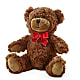 Adorable Plush Bear –  Magic Sun Flowers, Los Angeles CA