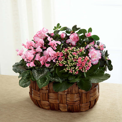 Pink Assortment –  Magic Sun Flowers, Los Angeles CA