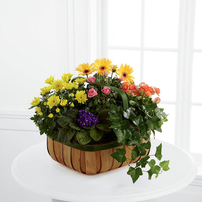 Gentle Blossoms Basket –  Magic Sun Flowers, Los Angeles CA