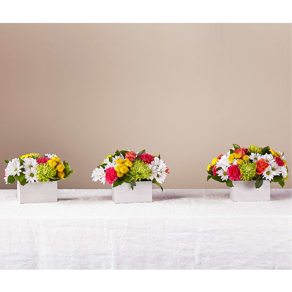 Sorbet Bouquet –  Magic Sun Flowers, Los Angeles CA