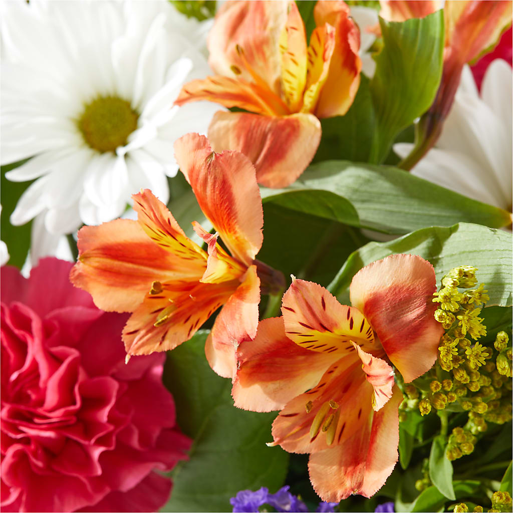 Oopsie Daisy Box Bouquet –  Magic Sun Flowers, Los Angeles CA
