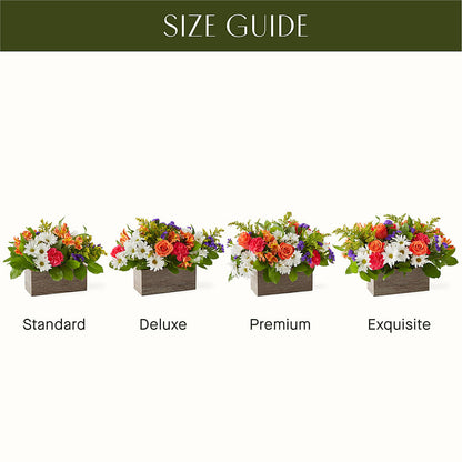 Oopsie Daisy Box Bouquet –  Magic Sun Flowers, Los Angeles CA
