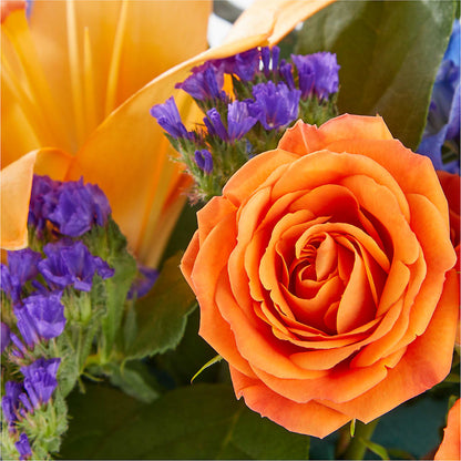 Radiant Citrus Box Bouquet –  Magic Sun Flowers, Los Angeles CA
