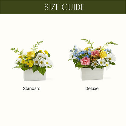 Sun Salutation Box Bouquet –  Magic Sun Flowers, Los Angeles CA