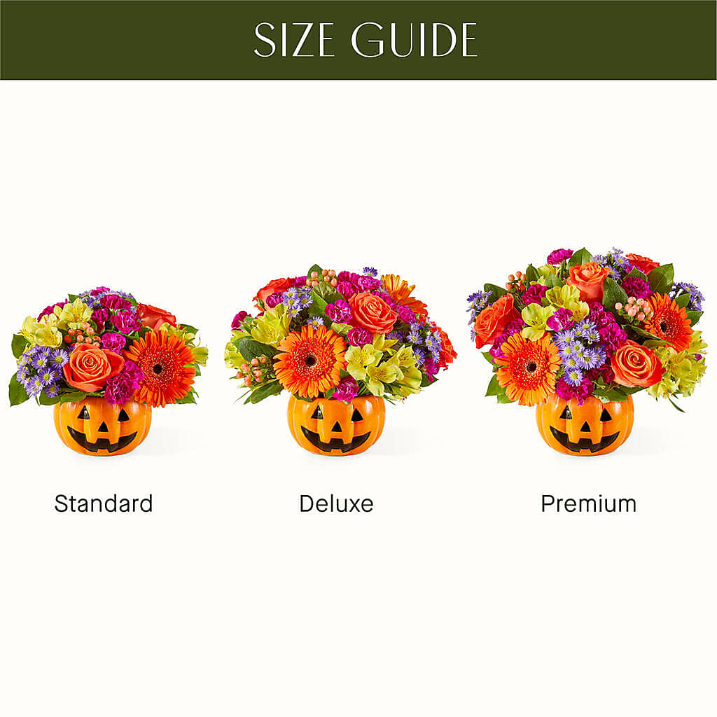 Tricks & Treats Pumpkin –  Magic Sun Flowers, Los Angeles CA