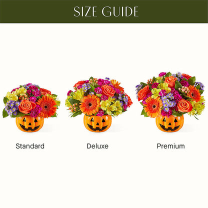 Tricks & Treats Pumpkin –  Magic Sun Flowers, Los Angeles CA