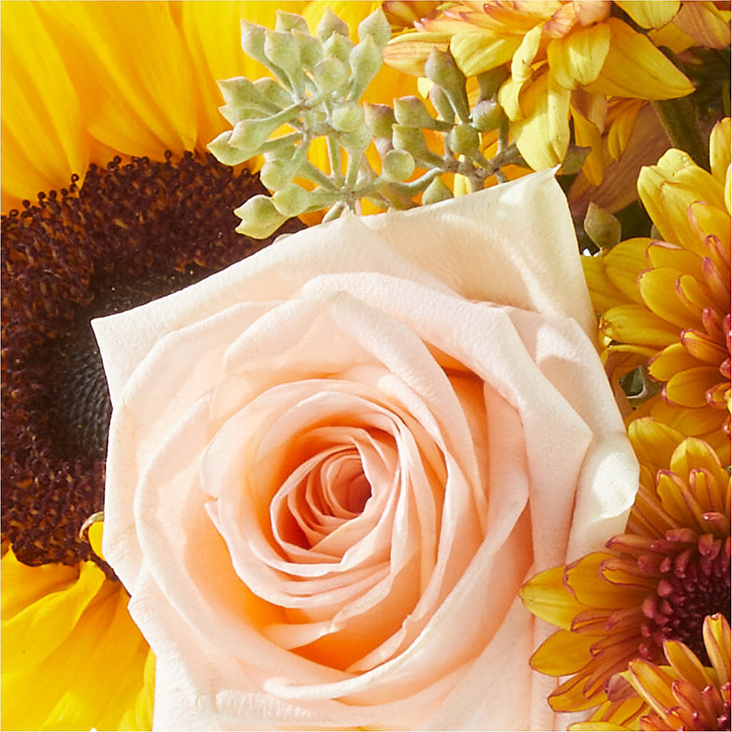 Pumpkin to Talk About Bouquet –  Magic Sun Flowers, Los Angeles CA