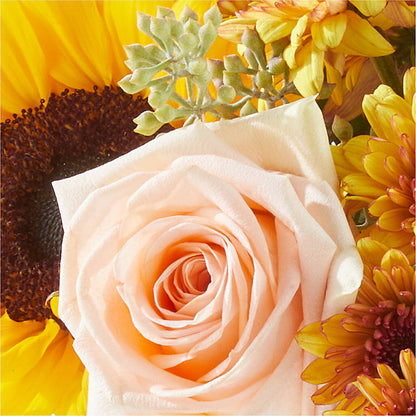 Pumpkin to Talk About Bouquet –  Magic Sun Flowers, Los Angeles CA