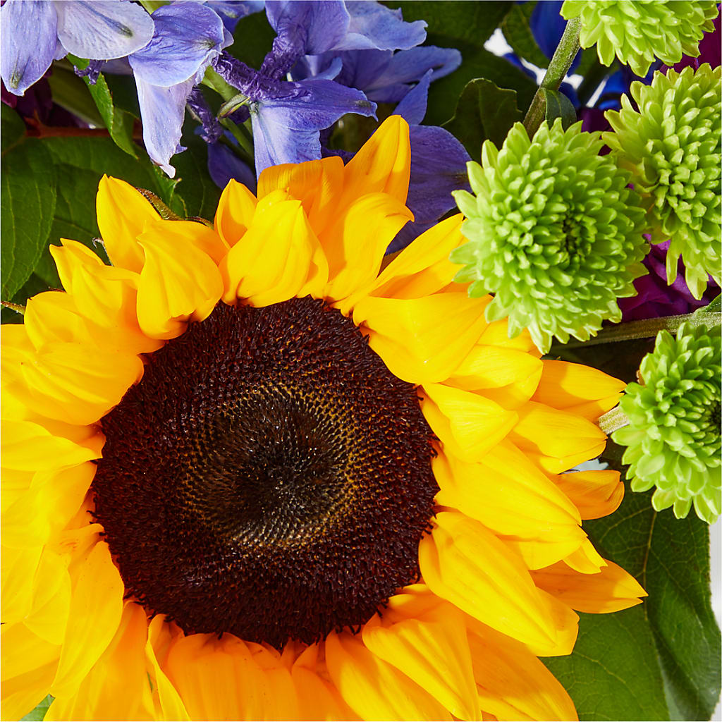 Catching Rays Bouquet –  Magic Sun Flowers, Los Angeles CA