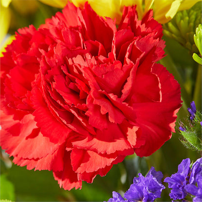 Brighter Days Bouquet –  Magic Sun Flowers, Los Angeles CA