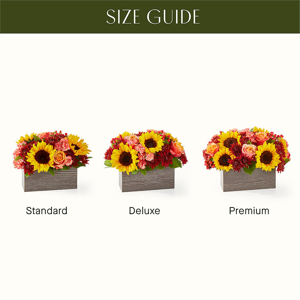 Fresh Cider Bouquet –  Magic Sun Flowers, Los Angeles CA