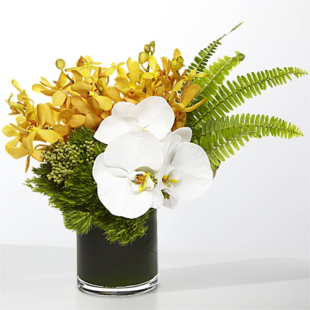 The Tropics –  Magic Sun Flowers, Los Angeles CA