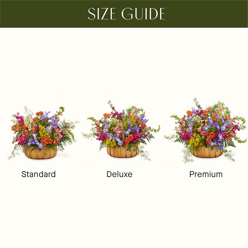 Garden of Life Basket –  Magic Sun Flowers, Los Angeles CA