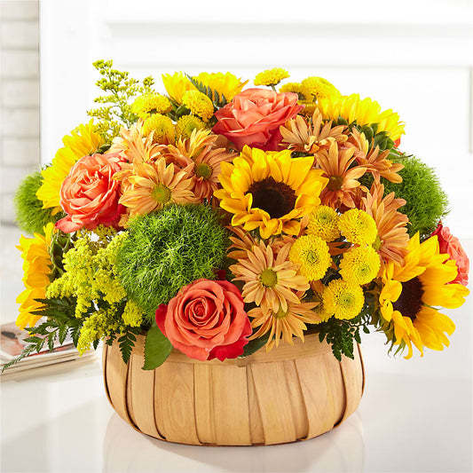 Harvest Sunflower Basket –  Magic Sun Flowers, Los Angeles CA