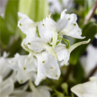 Classic Ivory – A Florist Original –  Magic Sun Flowers, Los Angeles CA