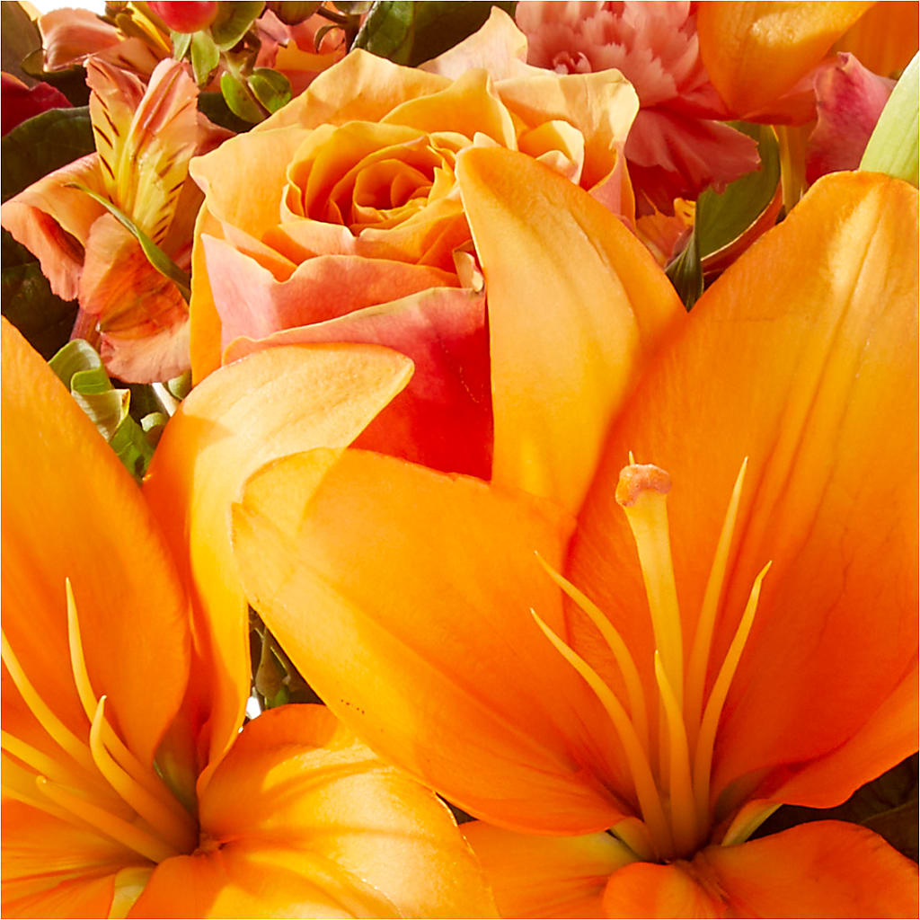 Afternoon Light Bouquet –  Magic Sun Flowers, Los Angeles CA
