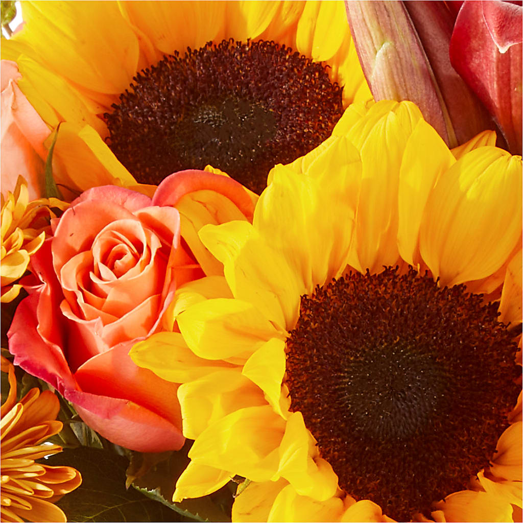 Acorn Lane Bouquet –  Magic Sun Flowers, Los Angeles CA
