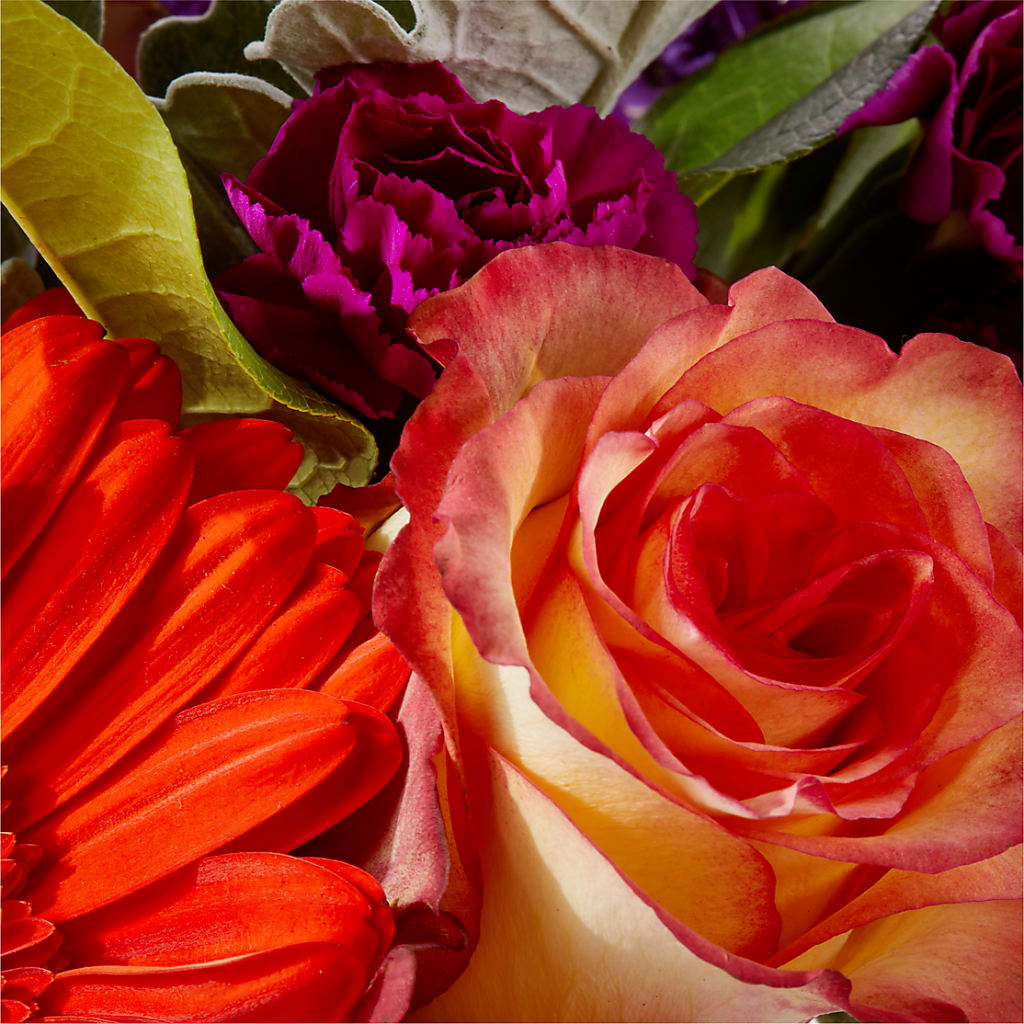 Sangria Bouquet –  Magic Sun Flowers, Los Angeles CA