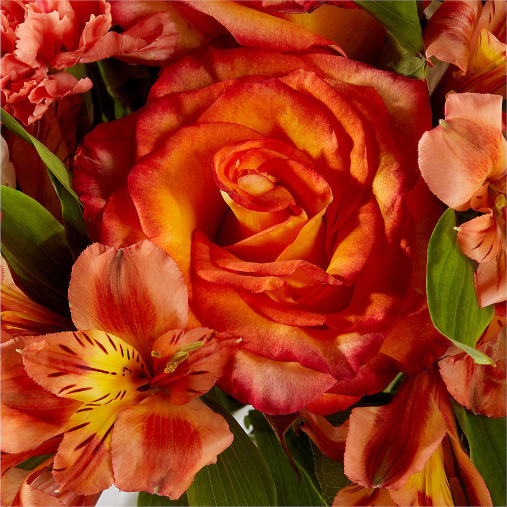 Apricot Glow Bouquet –  Magic Sun Flowers, Los Angeles CA