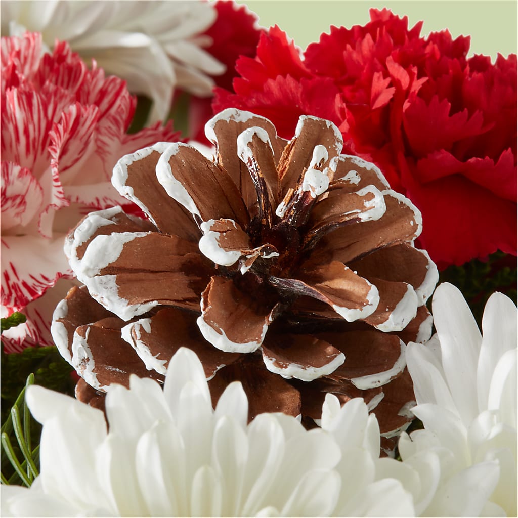Candy Cane Lane Bouquet –  Magic Sun Flowers, Los Angeles CA