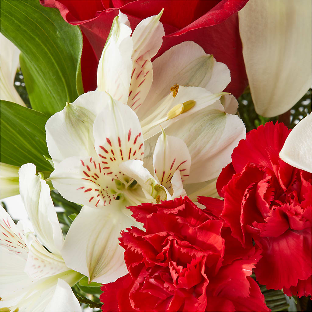Holiday Season Bouquet –  Magic Sun Flowers, Los Angeles CA