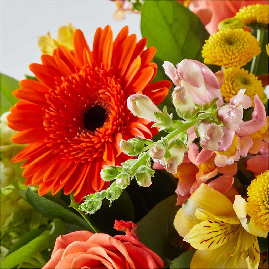 Autumn Sunshine Bouquet –  Magic Sun Flowers, Los Angeles CA