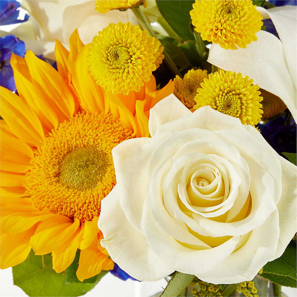 Stargazing Bouquet –  Magic Sun Flowers, Los Angeles CA