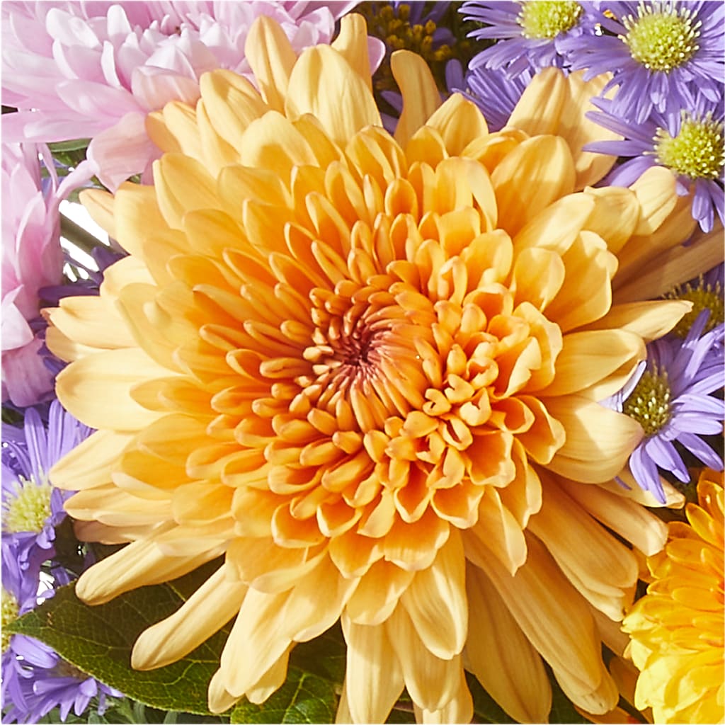 Countryside Bouquet –  Magic Sun Flowers, Los Angeles CA