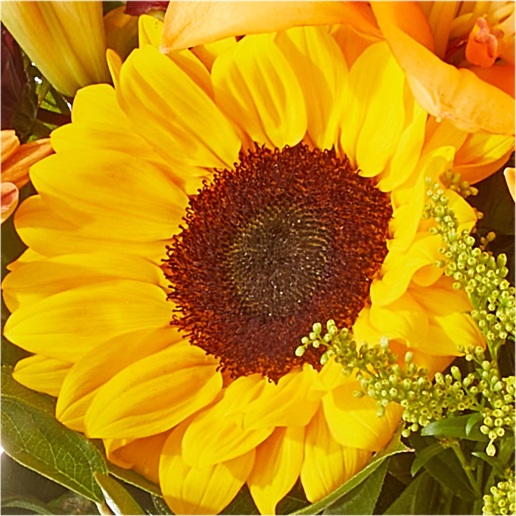 Seasons Change Bouquet –  Magic Sun Flowers, Los Angeles CA