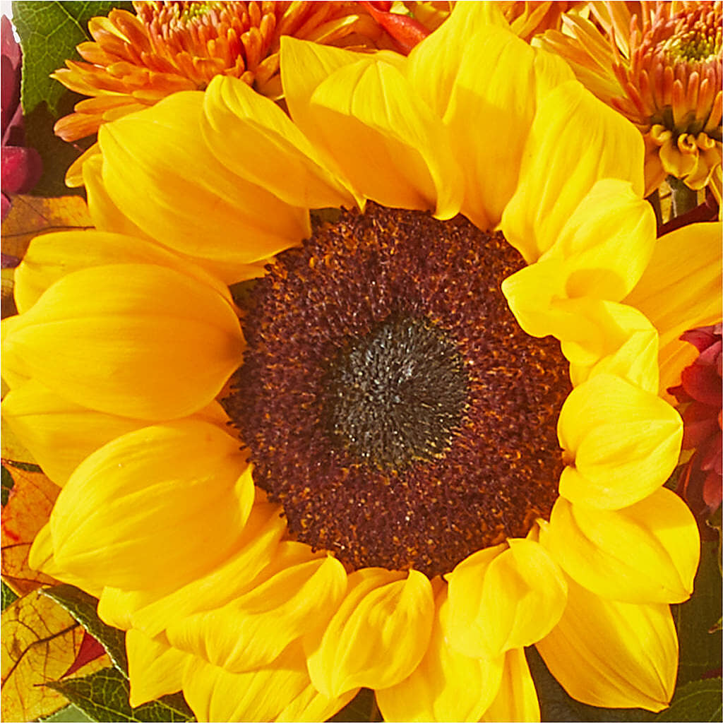 Sunny Side Bouquet –  Magic Sun Flowers, Los Angeles CA