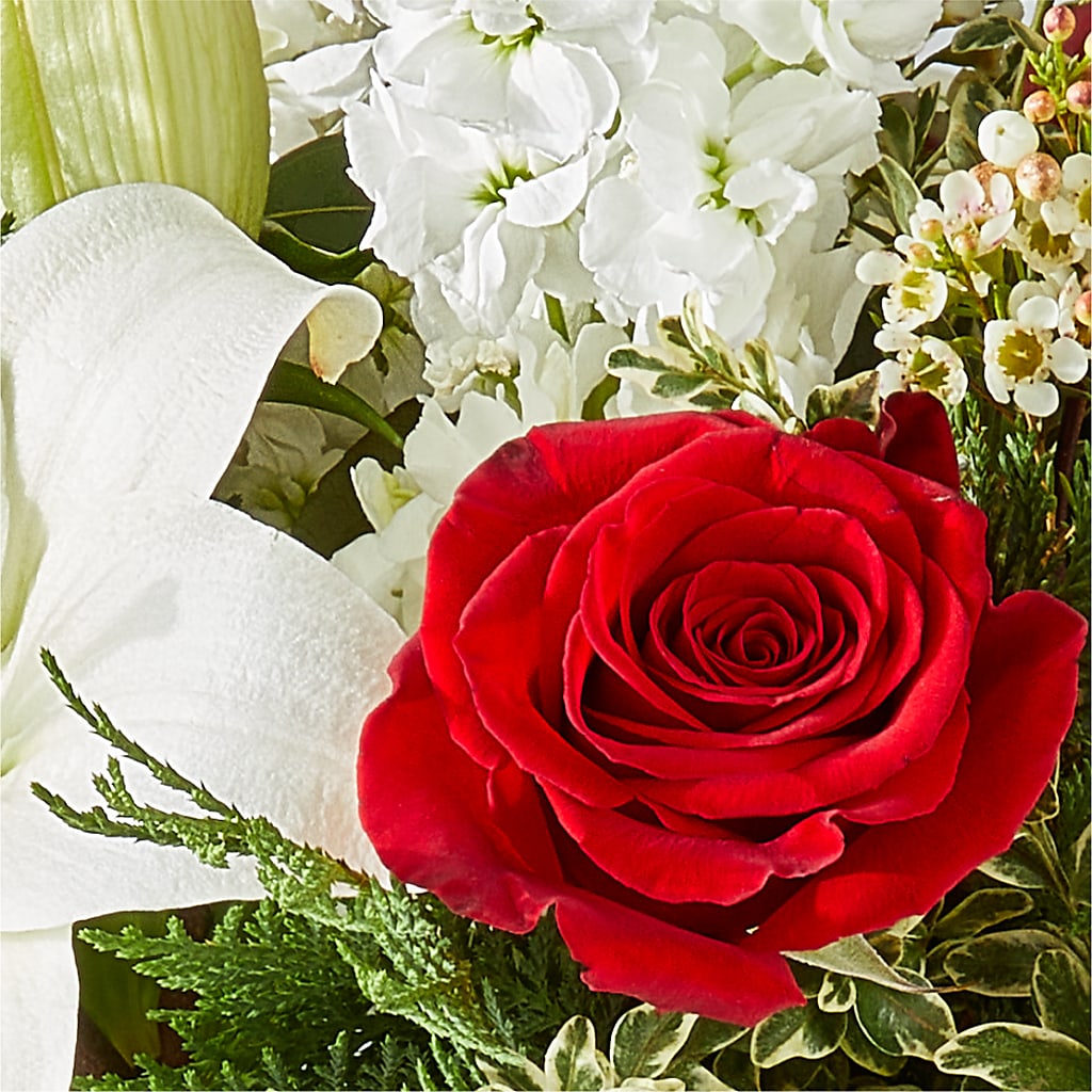 Twinkle Lights Bouquet –  Magic Sun Flowers, Los Angeles CA