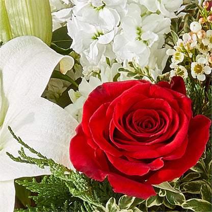 Twinkle Lights Bouquet –  Magic Sun Flowers, Los Angeles CA