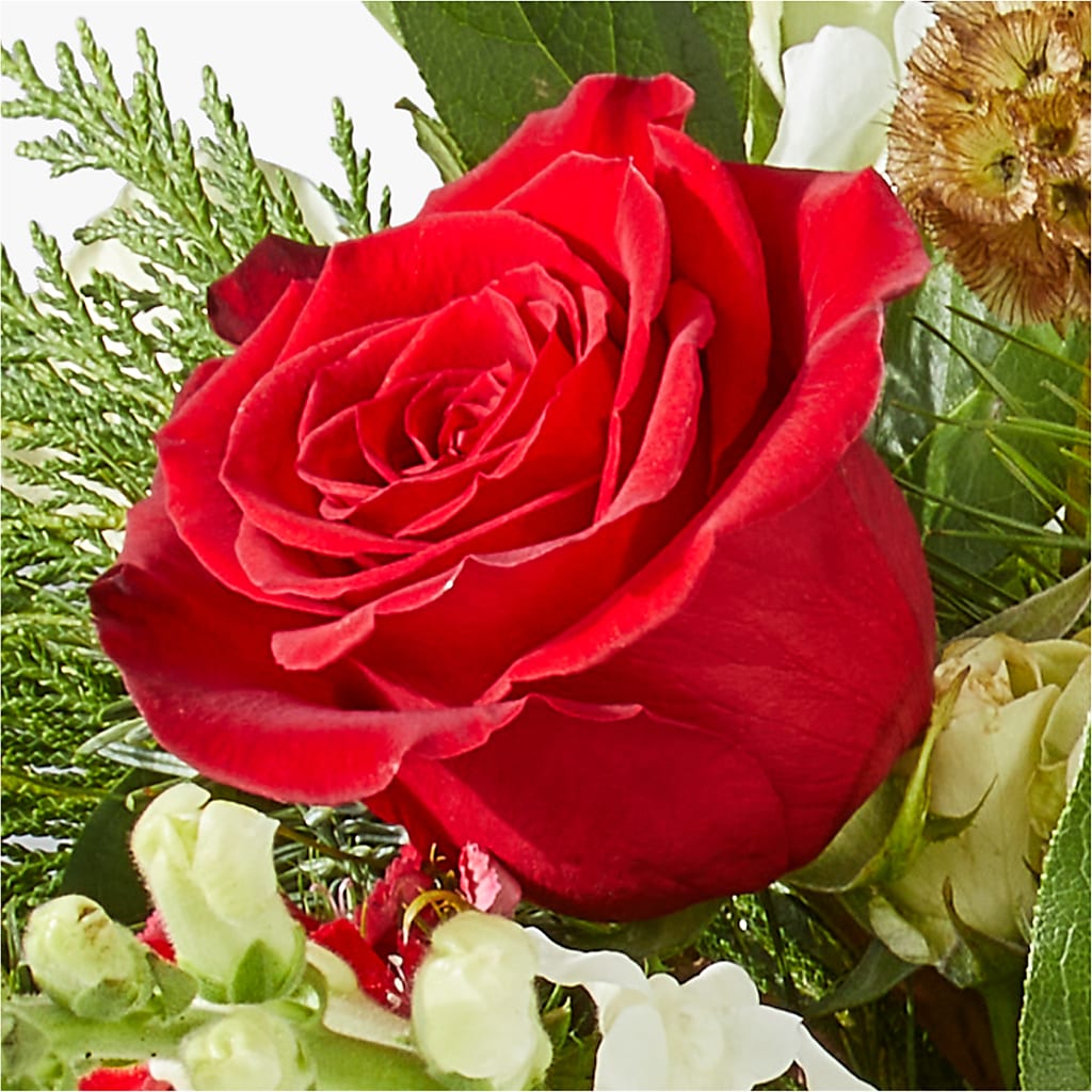 Deck the Halls Bouquet –  Magic Sun Flowers, Los Angeles CA