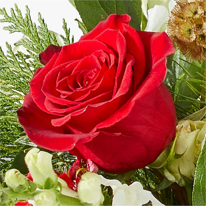 Deck the Halls Bouquet –  Magic Sun Flowers, Los Angeles CA
